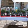 2010 02-03-04 Aprile Raccolta Fondi Anlaids = 2000 Euro 113 Bonsai