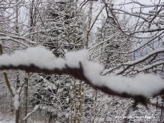 2010 26 Dicembre Gita S.Stefano 15