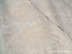 2011 17 Aprile Visita Guidata Parco Incisioni Rupestri Capo di Ponte 26