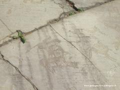 2011 17 Aprile Visita Guidata Parco Incisioni Rupestri Capo di Ponte 27