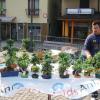 2011 22-23-24-25 Aprile Raccolta Fondi Anlaids = 2507 Euro 134 Bonsai