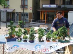 2011 22-23-24-25 Aprile Raccolta Fondi Anlaids 01