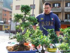 2011 22-23-24-25 Aprile Raccolta Fondi Anlaids 02