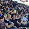 2013_14_aprile_stadio_tardini_parma_udinese_0-3_05